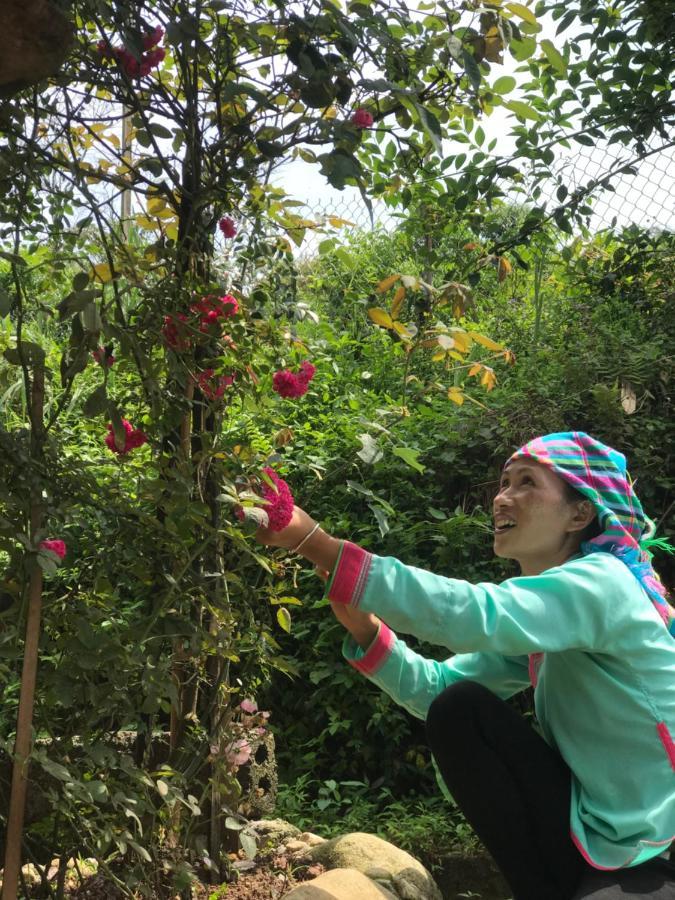 Ta Van Family Homestay Sapa Exteriör bild