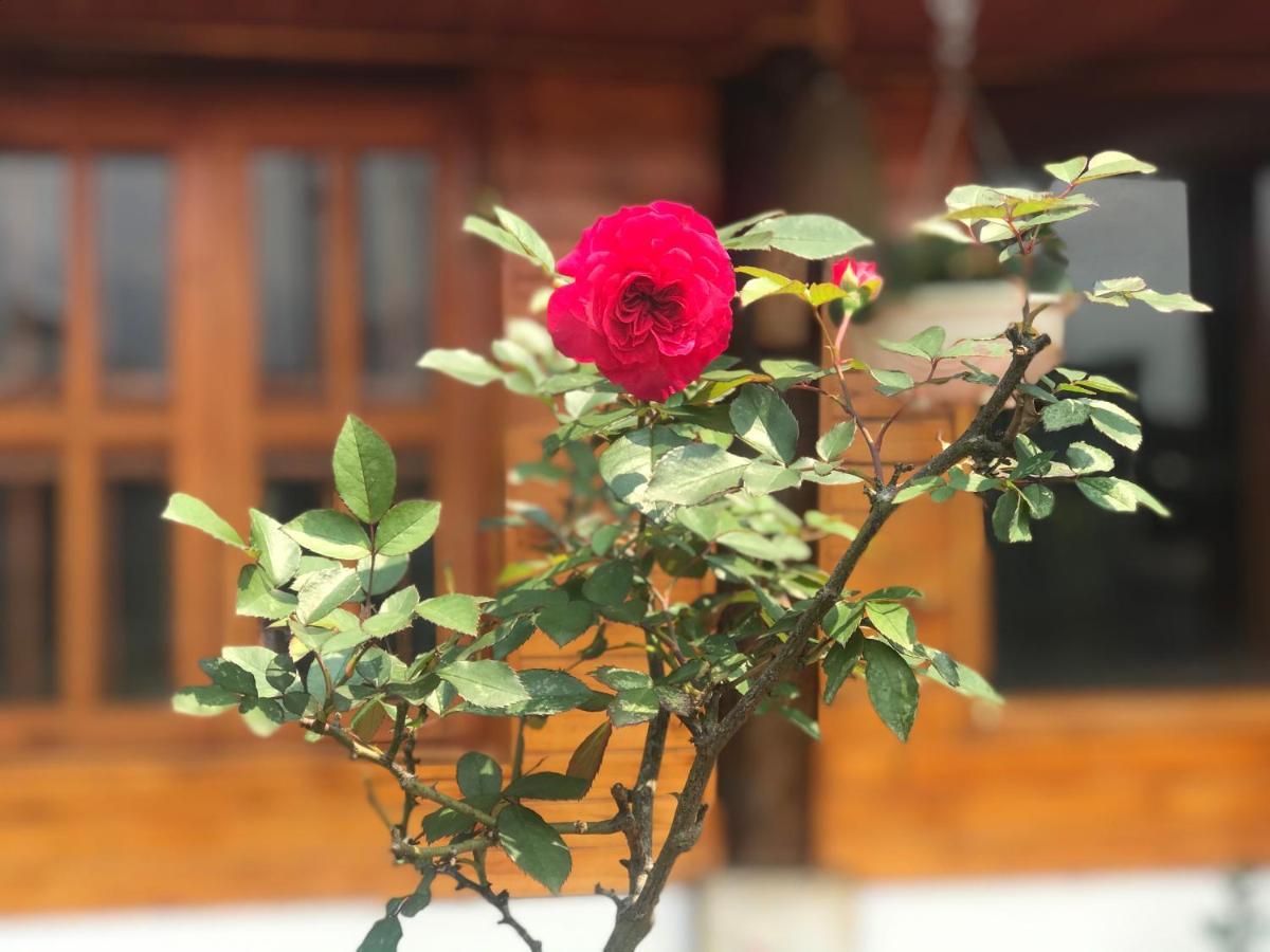 Ta Van Family Homestay Sapa Exteriör bild