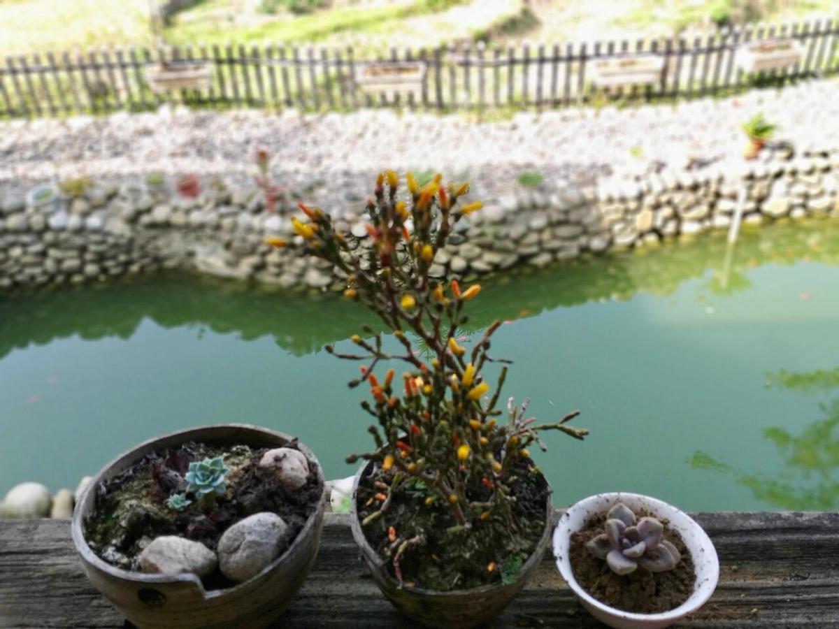 Ta Van Family Homestay Sapa Exteriör bild